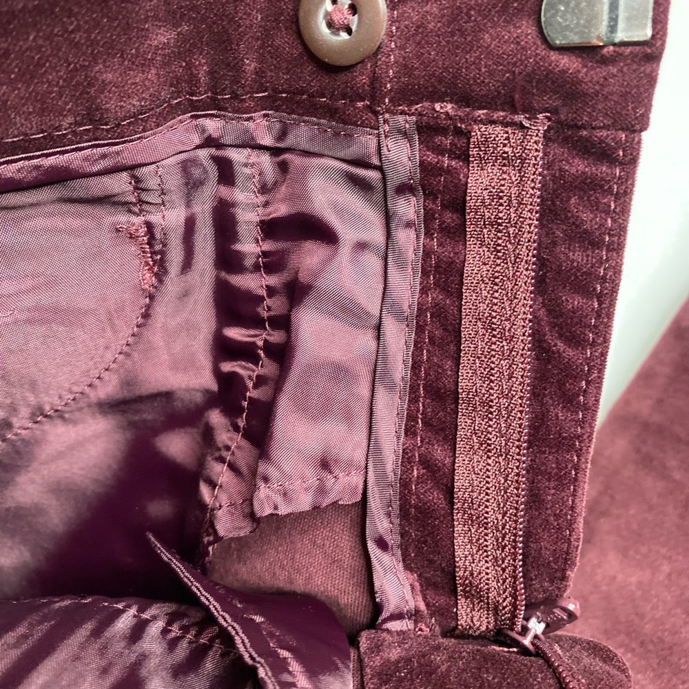 Banana Republic Sloan Burgundy Velvet Skinny Pants Sz.4 - Picture 4 of 8